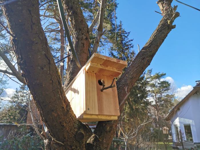 Flahdach beim Vogelhaus