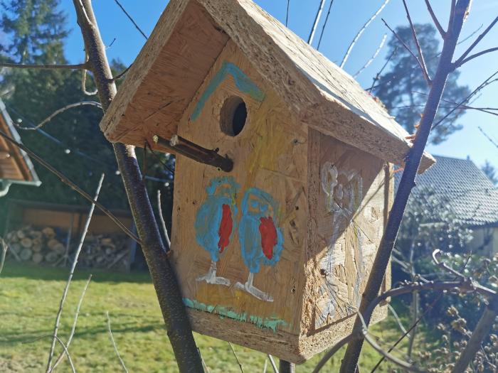 Wie groß muss das Vogelloch für Meisen sein?