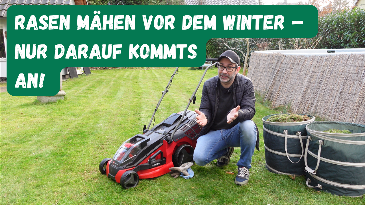 Rasen mähen vor dem Winter