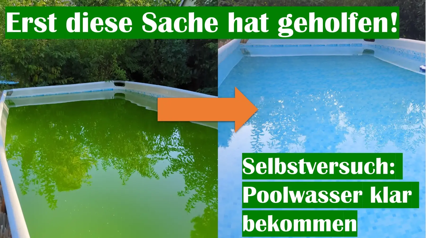Grünes Poolwasser vorher nachher