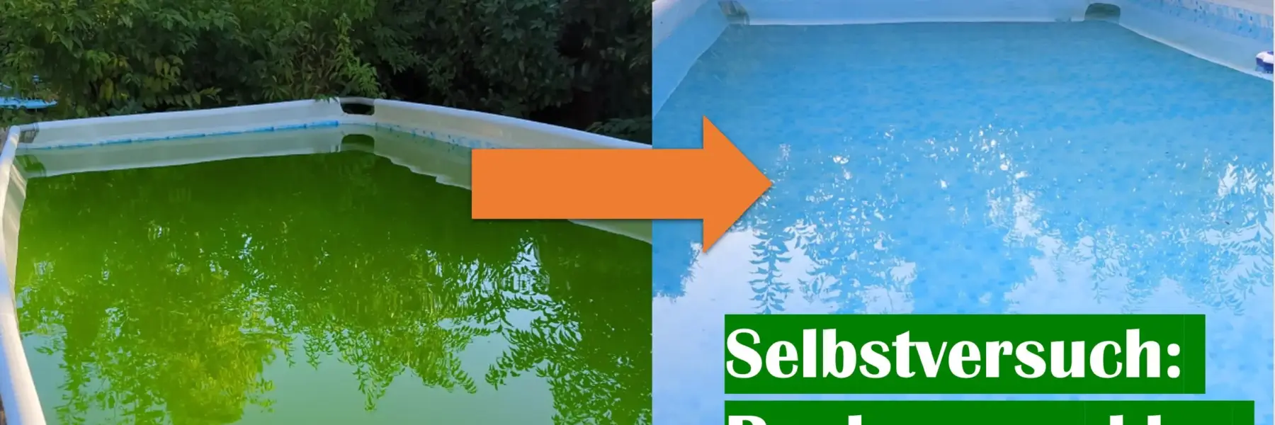 Grünes Poolwasser vorher nachher