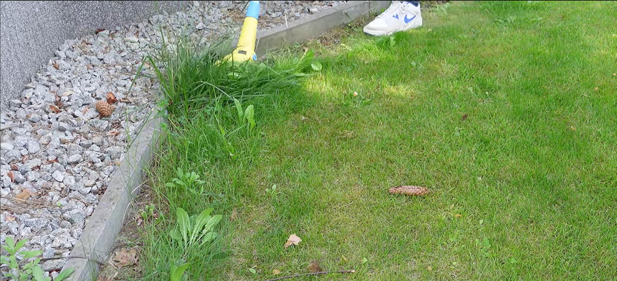 Gloria Finecut an der Rasenkantenecke